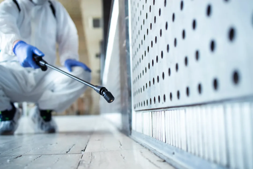 Cockroach removal Melbourne professional treatment