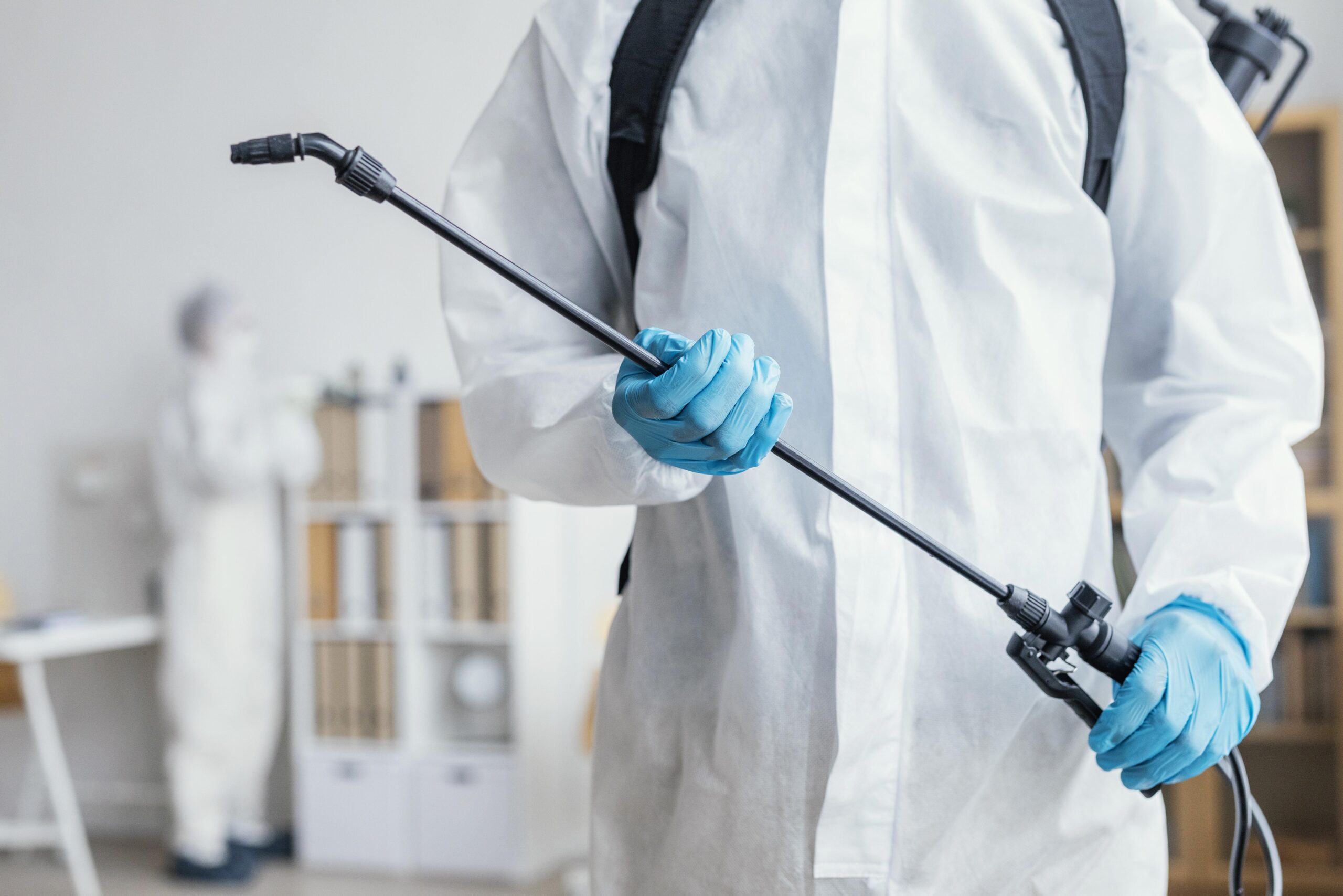 Flea control Melbourne home treatment
