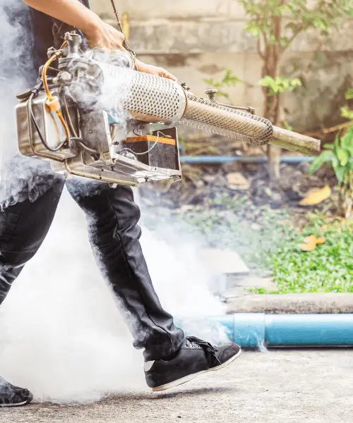 Mosquito pest control Melbourne