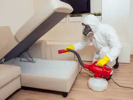 Cockroach Pest Control Melbourne