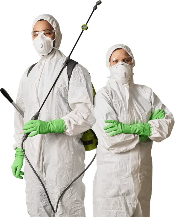 Pest Control Services in Melbourne, Vic