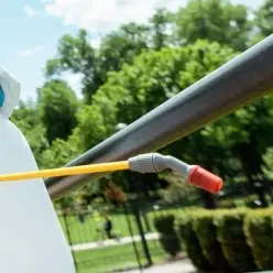 Pest Control in Melbourne