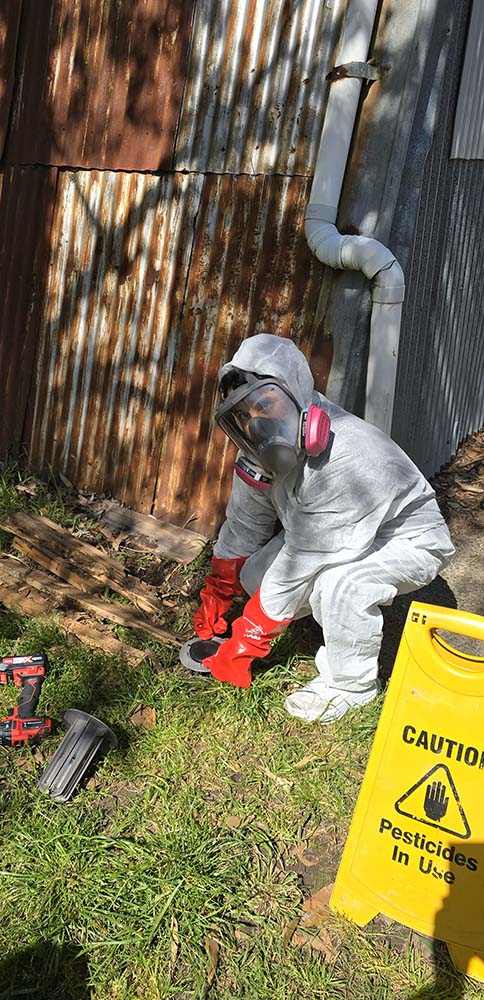 Common Signs of Termite Infestation in Melbourne Homes,