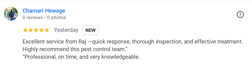 Melbuzz-Pest-Control-Melbourne-Google-Search-12-06-2025_12_44_PM (1)