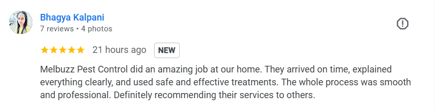 Melbuzz-Pest-Control-Melbourne-Google-Search-12-06-2025_12_44_PM