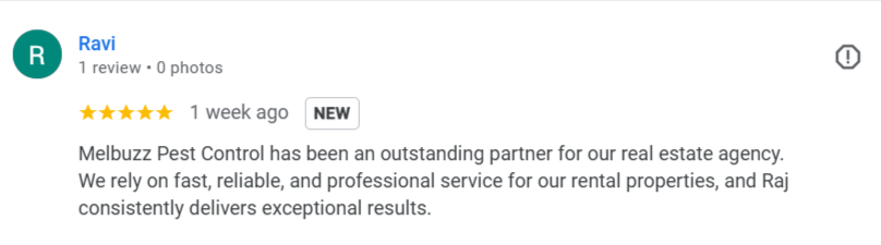 Melbuzz-Pest-Control-Melbourne-Google-Search-12-06-2025_12_46_PM (2)