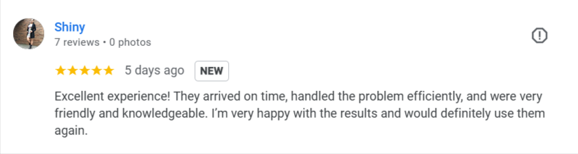 Melbuzz-Pest-Control-Melbourne-Google-Search-12-06-2025_12_46_PM