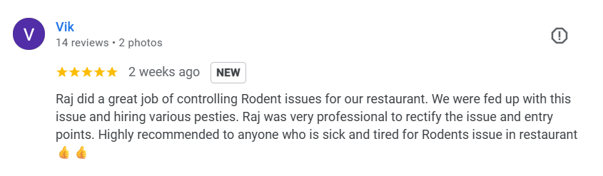 Melbuzz-Pest-Control-Melbourne-Google-Search-12-06-2025_12_47_PM (1)