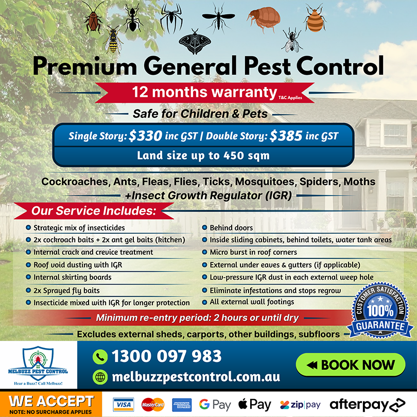 12-Month Pest-Free Warranty: What It Covers & How It Works