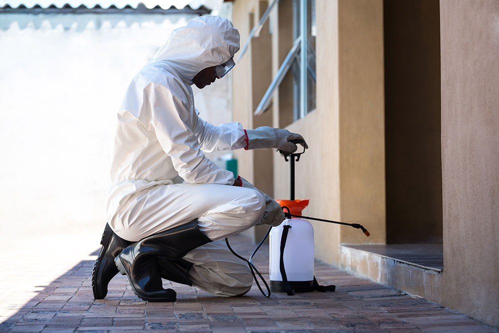 General Pest Control in Pakenham