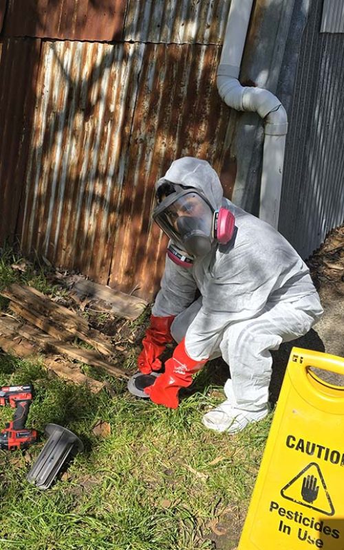 Common Signs of Termite Infestation in Melbourne Homes,